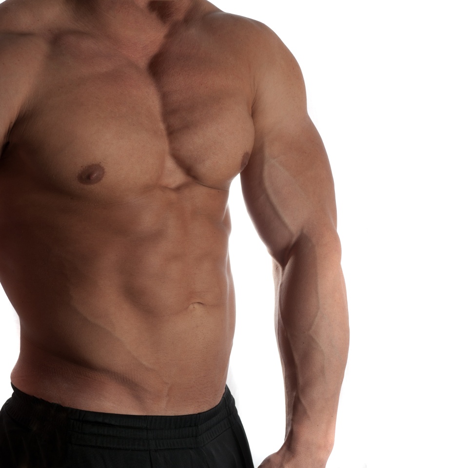 Muscular male torso of bodybuilder on white background